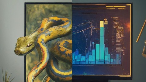 Python Proficiency in Data Analytics