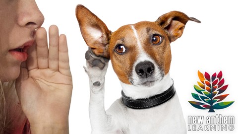 Active Listening Master Course: How to Improve Communication