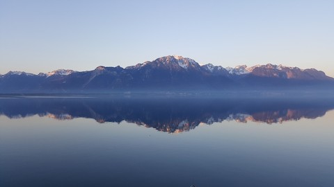 CLARITY - From Confusion to a Life of Purpose and Flow