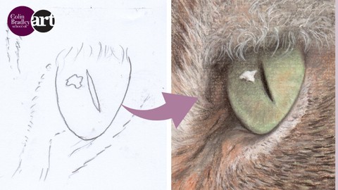 Free Drawing Tutorial - Draw a Realistic Cat's Eye for Beginners with Colin Bradley