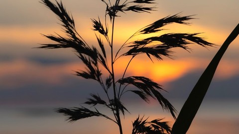 Dusk imagery Cont'd