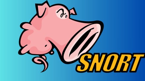 Snort Interview Mastery: 400+ Most Asked Questions [NEW]