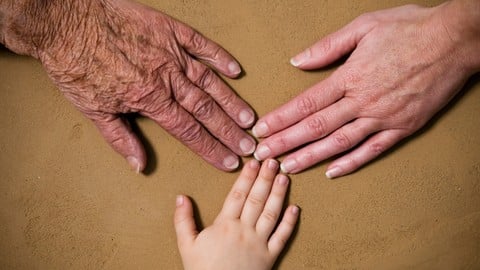 Free Leadership Tutorial - Leading Across Generations From Baby Boomers to Gen Z.