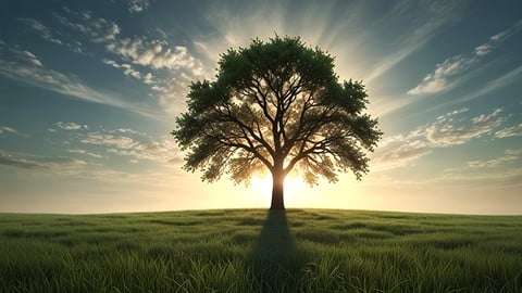 Free Resilience Tutorial - Building Quiet Resilience in Everyday Life