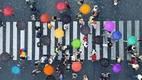 Free Sustainable Development Tutorial - Social Protection Masterclass