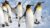 A Complete Guide on Linux LVM
