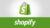 Advanced Shopify Course For Building a Professional Store