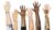 Ally Up: How to Build and Activate Ally Partnerships