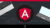 Angular Front To Back: Learn Angular 5 for Beginners