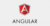 Angular – The Complete Course