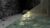 Animation with car in Blender Complete Blender beginn. workf