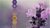 Balance your Chakras – Balance your life