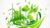 Basic Overview of Green Supply Chain Management