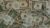 Become Money Magnet With Switchwords