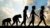 Biology – Evolution