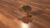 Blender Materials and Texture Series – Volume one