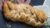 Breads – Vegan Cooking Class