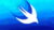 Build Apps with SwiftUI