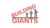 Building Giants: Secrets to Impactful Workforce Development