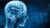 Certified Emotional Intelligence (EI & EQ) Leader