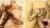 Classical Drawing