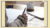 CMQ/OE exam preparation / certification prep (ASQ) (CMQ-OE)
