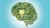 Cognitive Psychology For Everyone