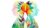 COLOR THERAPY: Color Therapy Certification!