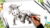 Complete Dino Drawing and Design: 2D to 3D illustrations