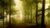 Composition in Outdoor Photography