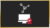 CompTIA Network+ Certification Preparation: Learn Networking