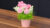 Cookie Bouquet
