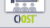 COST – Certified Operating System Technician