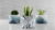 Crafting Papers to Planter Sleeves