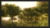 Create Foliage and Trees for Games or Film using SpeedTree