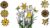 Create Fun Flowers in PowerPoint 365 | PPT Graphic Design