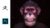 Creating a Realistic Chimpanzee in Zbrush 2020