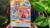 Creating Colorful Urban Landscapes