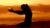 Death Awareness Meditation