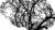 Decision tree models in Python