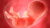 Developmental stages of the foetus