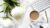 Digital Marketing for Healthcare Entrepreneurs