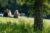 Diploma in Ecology and Society