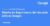 Diseño de Experiencia del Usuario (UX) de Google