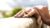 Divorce Your Toxic, Narcissistic Spouse & Come Out On Top!