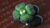 DIY Lucky Brooch Clover (3D seed bead embroidery)