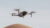 DJI Mavic Air 2 – DJI ARS Educational Official Course