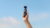 DJI Pocket 2 – DJI ARS Educational Official Course