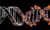 DNA: Biology’s Genetic Code