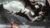 Dragon Hunter – Photoshop Compositing Course